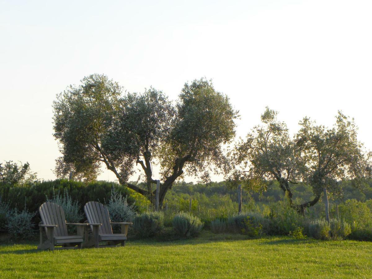 Macchiabuia Bed & Breakfast Capalbio Bagian luar foto