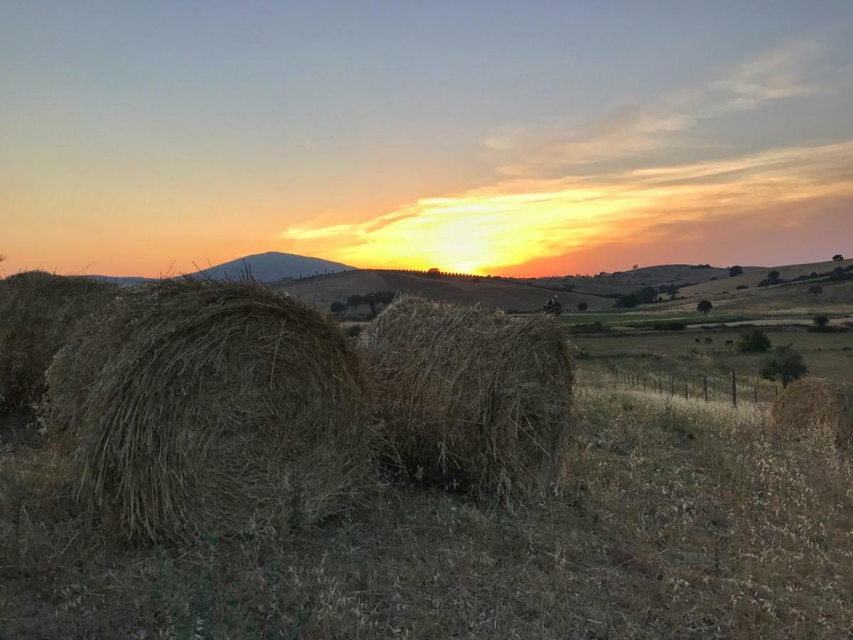 Macchiabuia Bed & Breakfast Capalbio Bagian luar foto